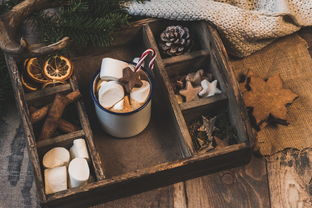 NBA赛季助攻王表现动态，nba本赛季助攻王