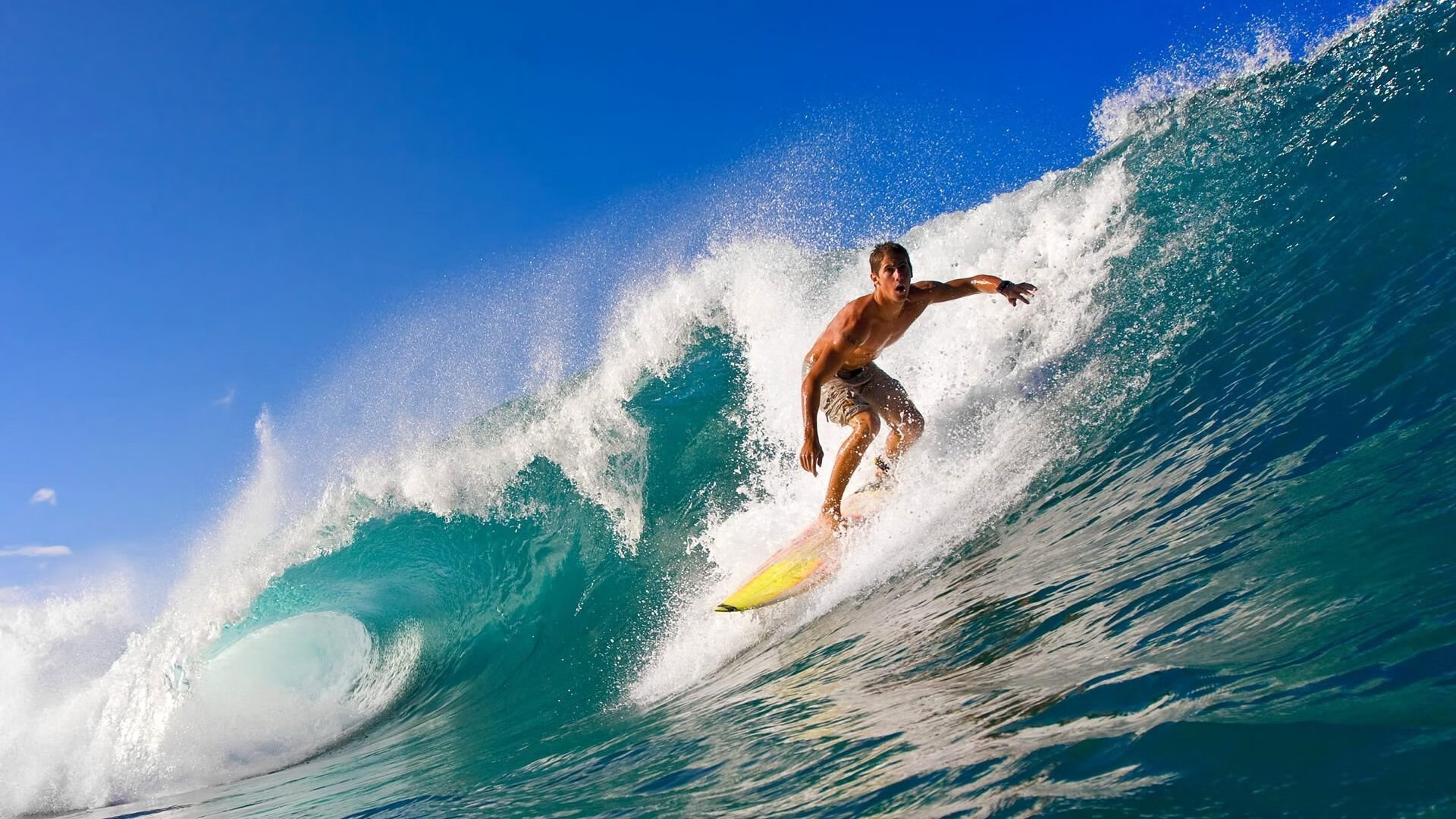 “霍斯特助力南非羚羊队稳守阵地，向世界冠军迈进”